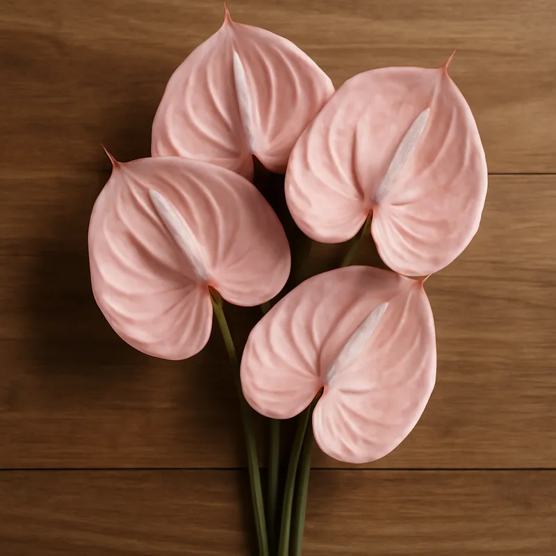 Anthurium (flamingoblomma) – Pink – bilde 3