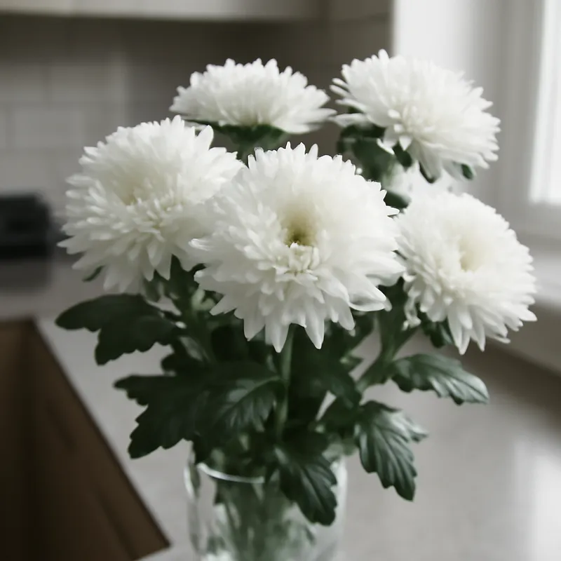 Aster – White – bilde 3