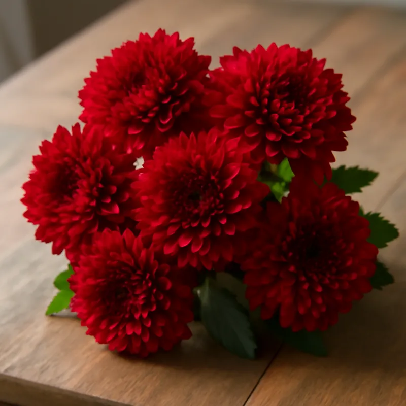 Chrysanthemum – Red – bilde 3