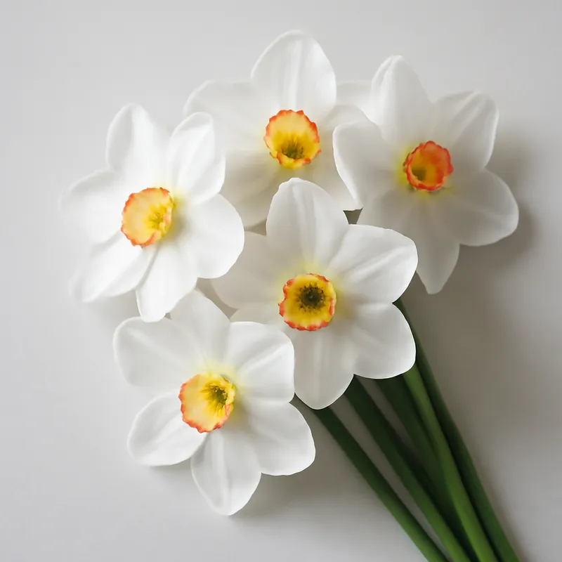 Daffodil – White – bilde 3