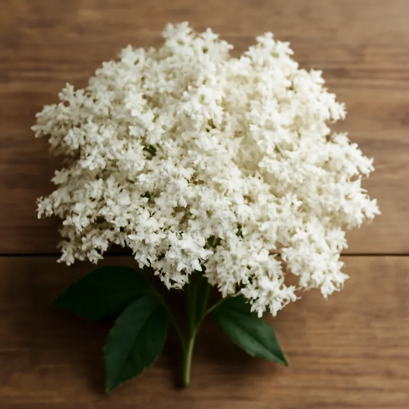 Hyll – White – bilde 3