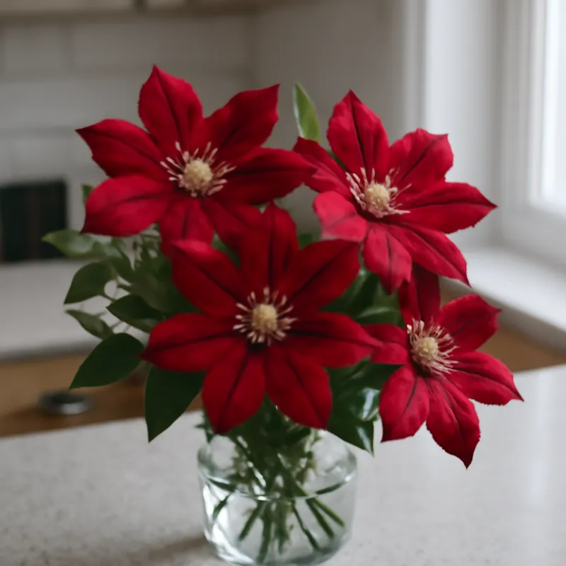 Klematis – Red – bilde 3