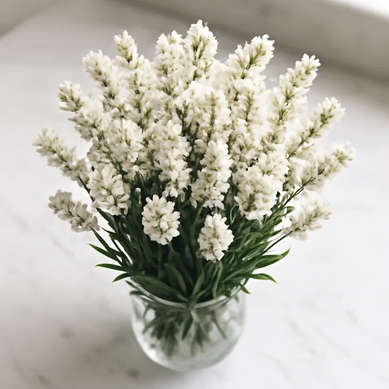 Lavender – White – bilde 3