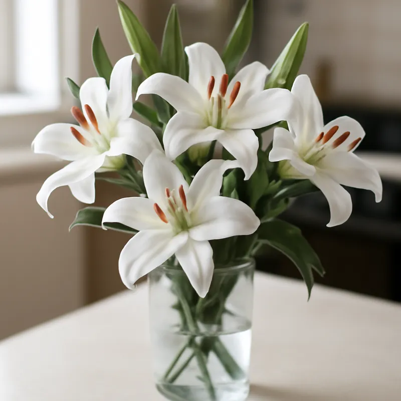 Lily – Classic – bilde 3