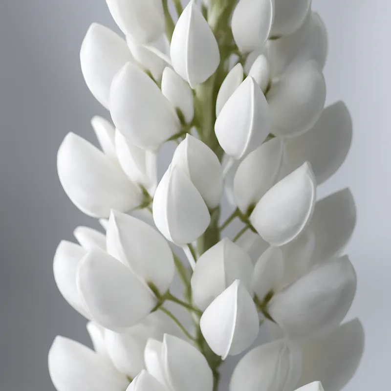 Lupin – White – bilde 2