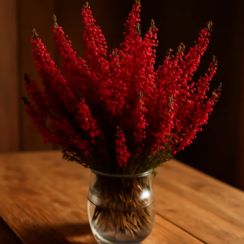 Ljung – Red – bilde 3