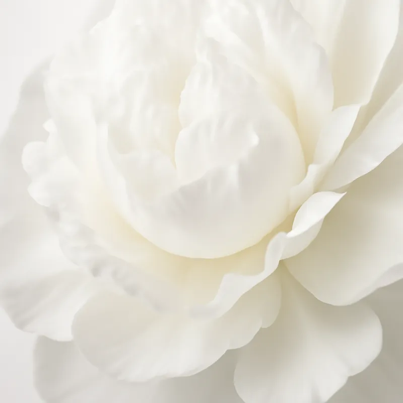 Peon – White – bilde 2