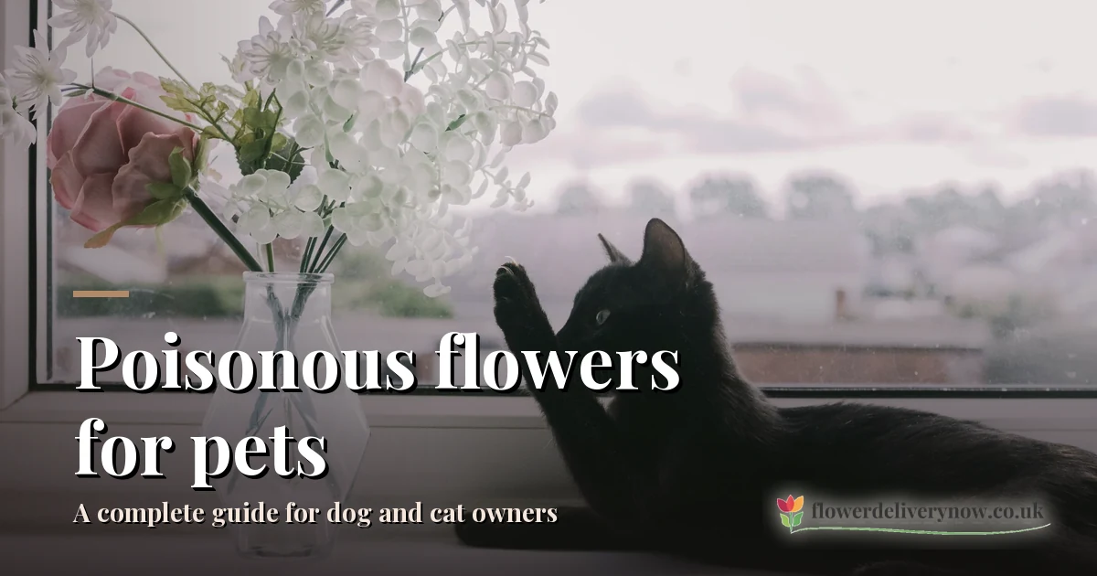 Poisonous flowers for pets