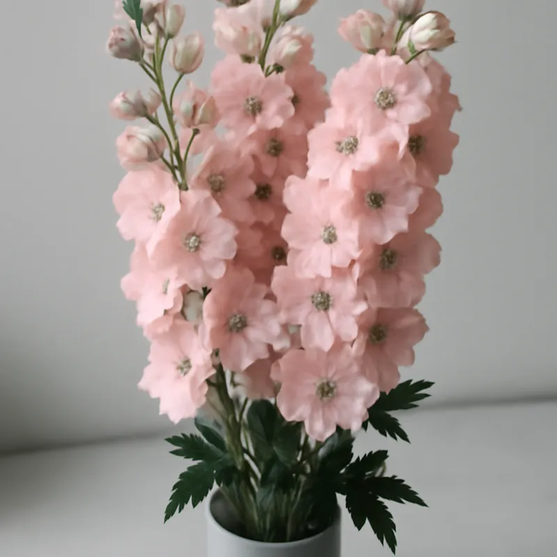 Riddarsporre – Pink – bilde 3