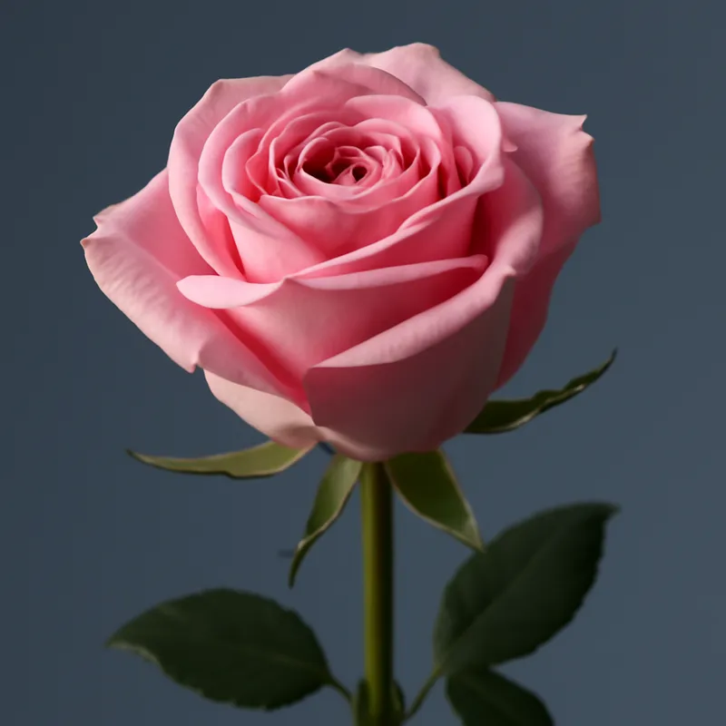 Classic rose bouquet