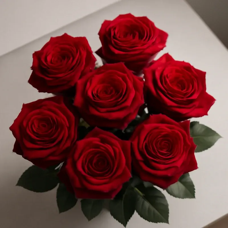 Rose – Red – bilde 3